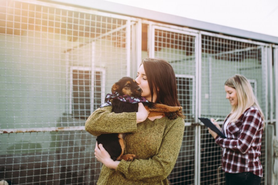 Refuge animaux Paris : où adopter dans la capitale ?