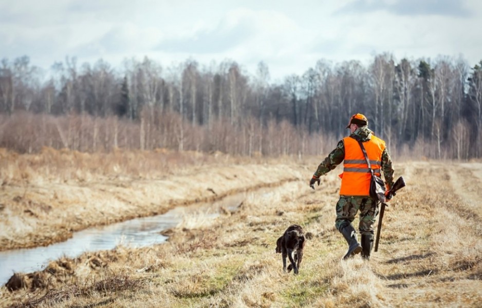 Comment faire la validation de votre permis de chasse à Paris ?